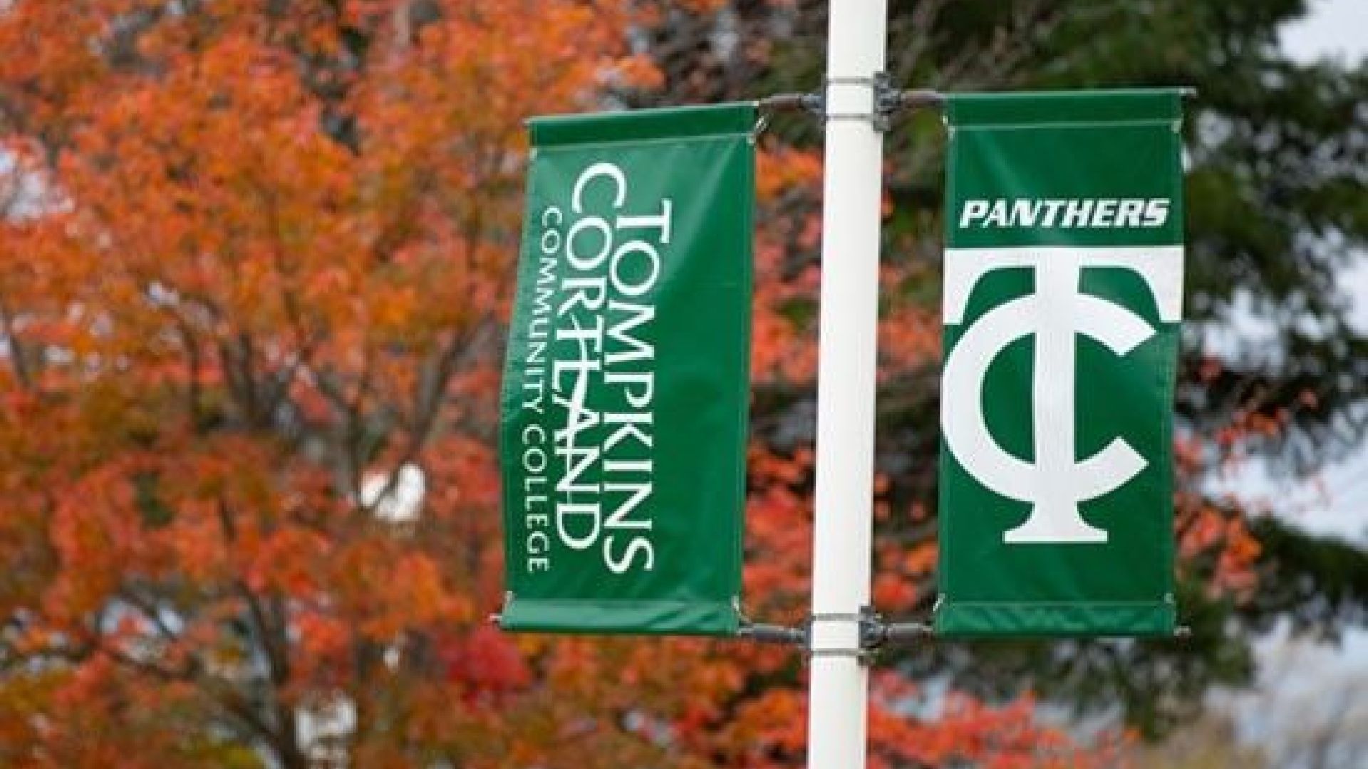 Campus flagpole banners with TC3 logo
