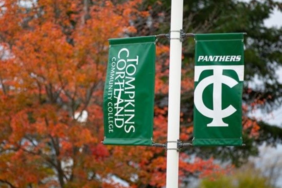 Campus flagpole banners with TC3 logo