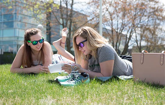 Students studying outside 