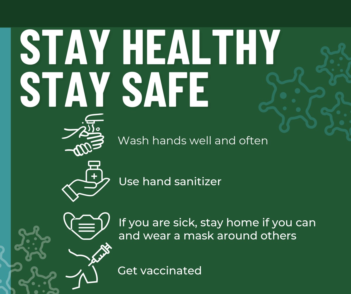 Stay Healthy Stay Safe