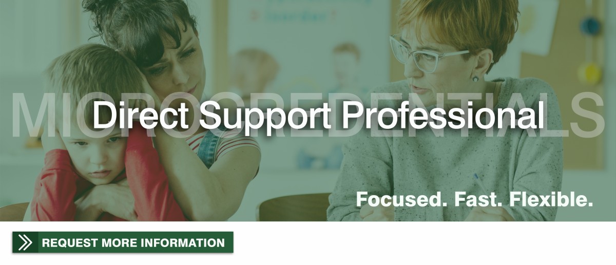 direct support student