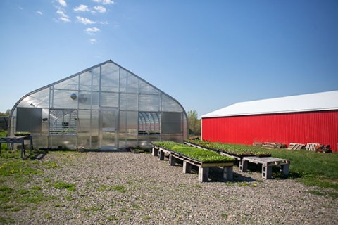 TC3 Farm barn and greenhouse