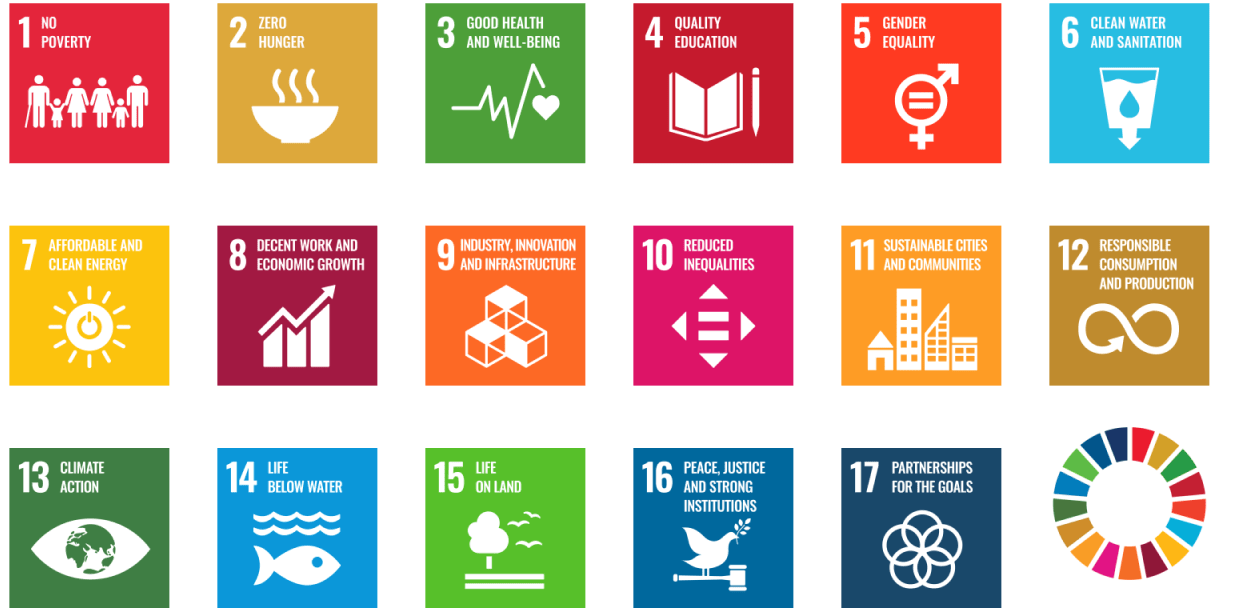 Sustainability Development Goal Icons