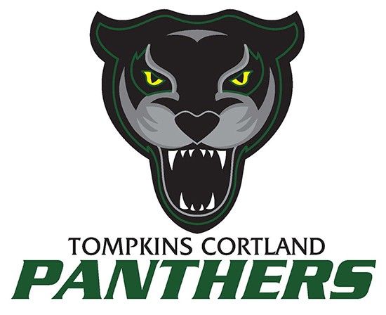 TC Panthers logo