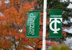 Tompkins Cortland Community College flags in front of fall tree